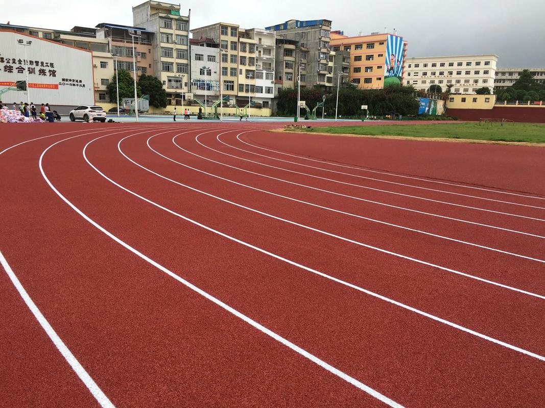 通化市学校塑胶跑道塑胶跑道材料 - 厂家